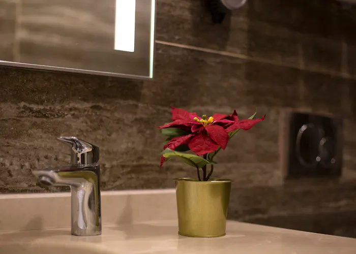 Bueke Sisli מלון