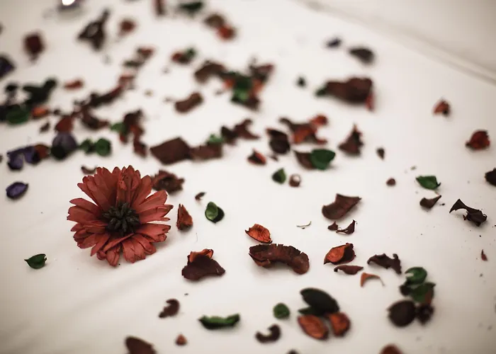 Bueke Sisli מלון איסטמבול