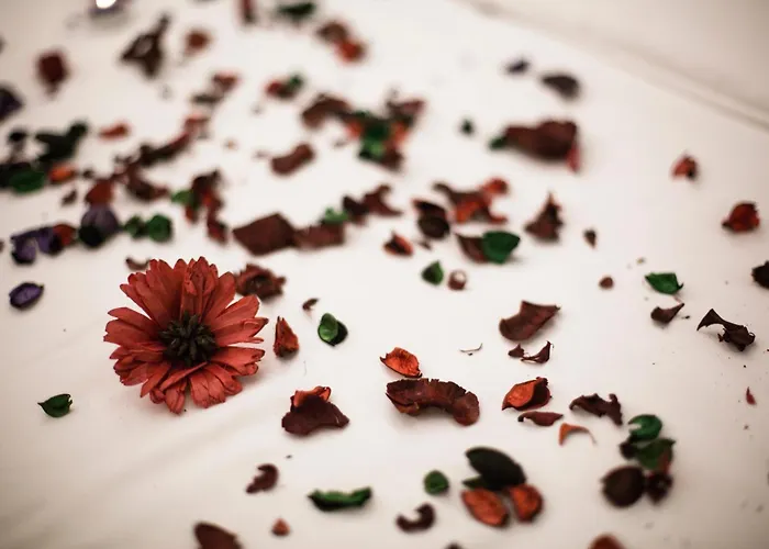 Bueke Sisli מלון 4*