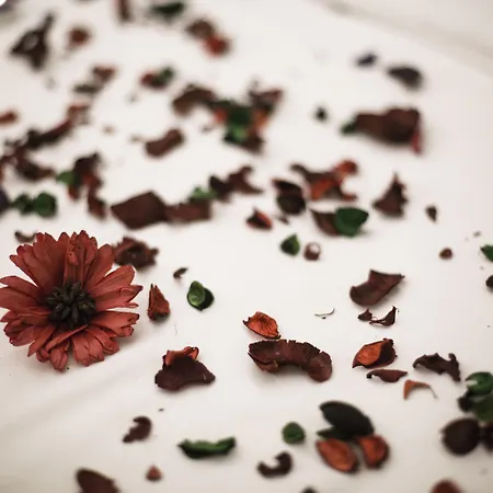 Büke Otel İstanbul